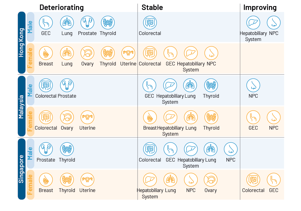 Chart 8